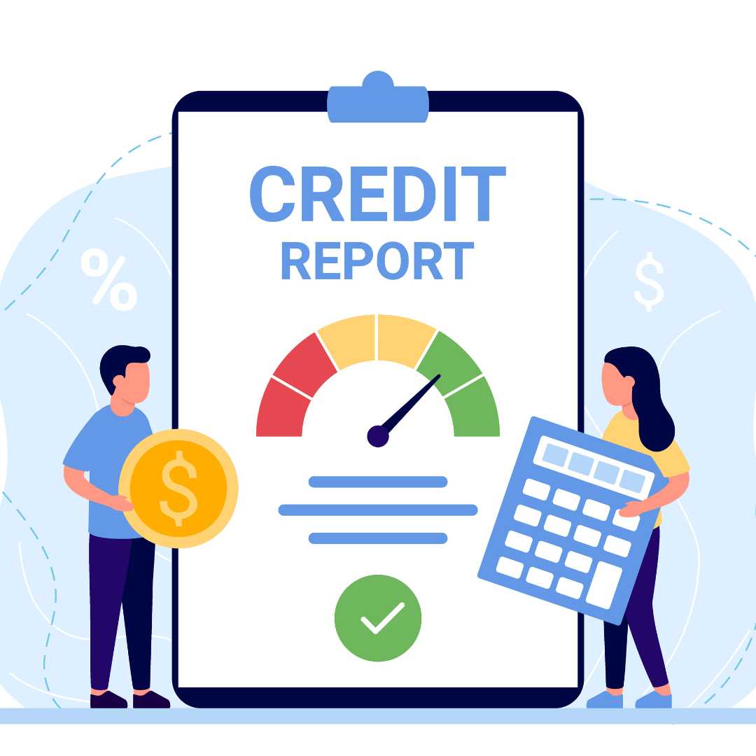 company credit report