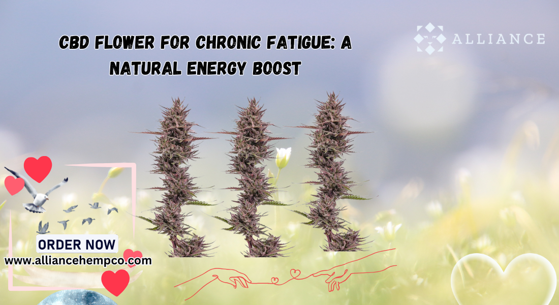 CBD Flower for Chronic Fatigue