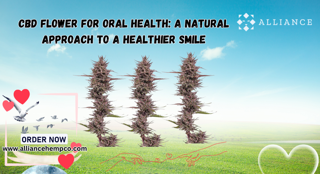 CBD Flower for Oral Health