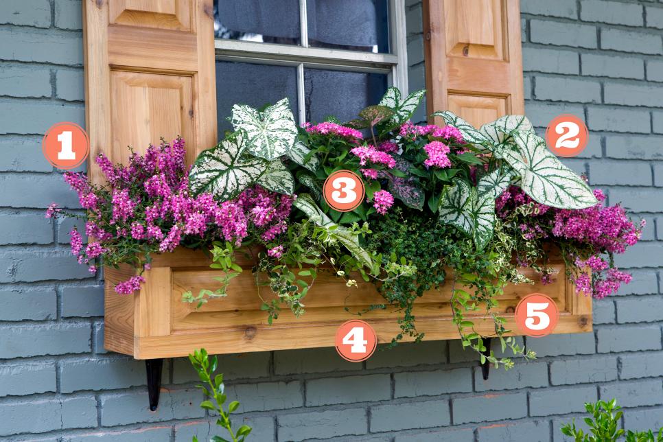 window boxes