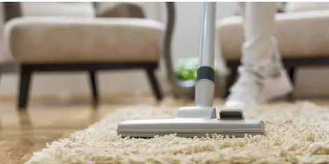 Carpet Cleaning