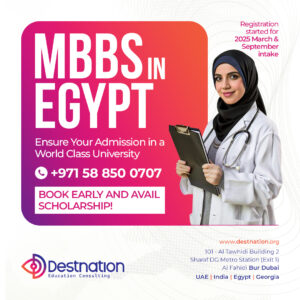 study mbbs in egypt 